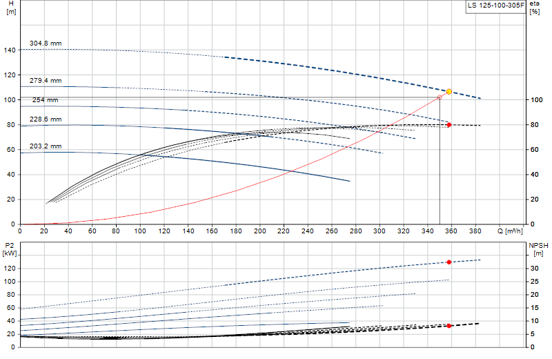 Curva di prestazione LS 125-100-305F