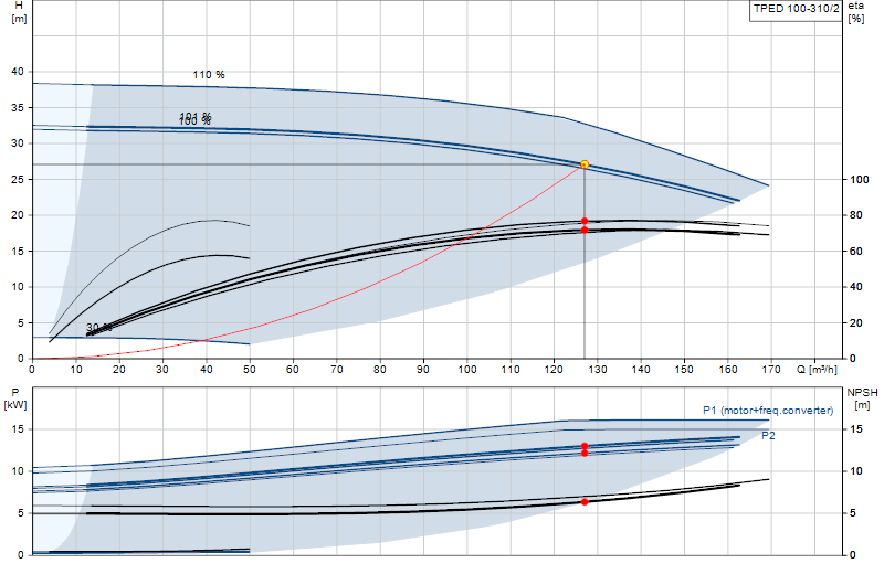 Curva di prestazione TPED 100-310/2