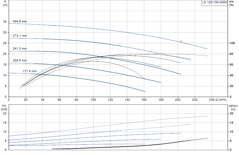 Curva di prestazione LS 125-100-305D