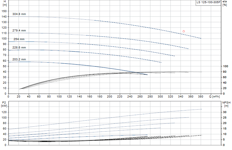Curva di prestazione LS 125-100-305F