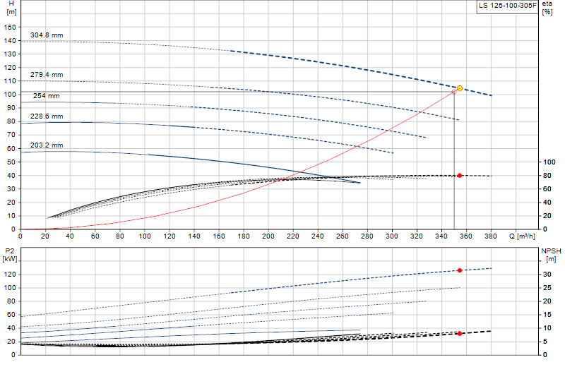 Curva di prestazione LS 125-100-305F