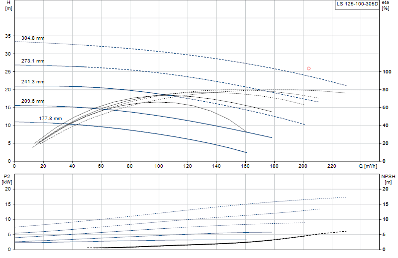 Curva di prestazione LS 125-100-305D