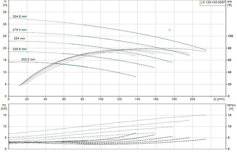 Curva di prestazione LS 125-100-305F