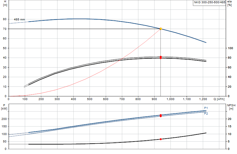 Curva di prestazione NKG 300-250-500/485