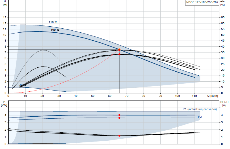 Performance curve NBGE 125-100-250/267