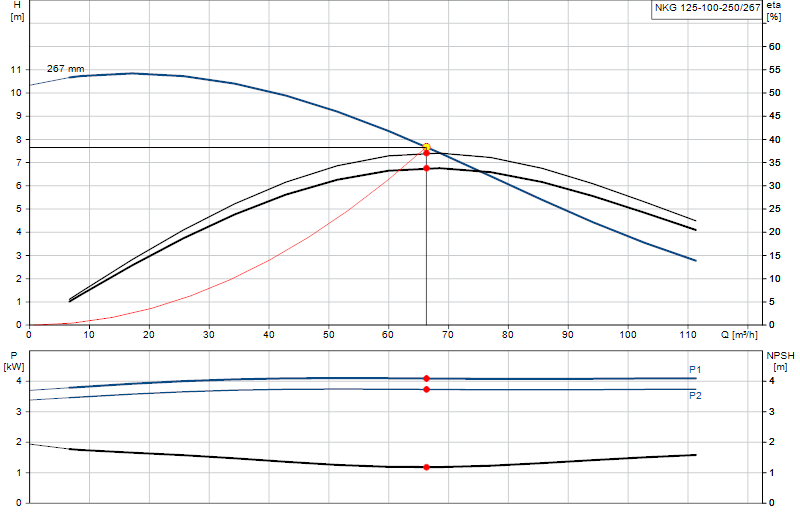 Performance curve NKG 125-100-250/267