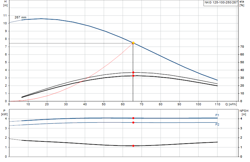 Performance curve NKG 125-100-250/267