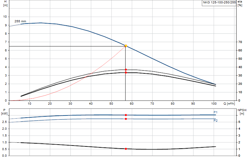 Curva di prestazione NKG 125-100-250/255