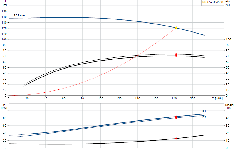 Curva di prestazione NK 65-315/308