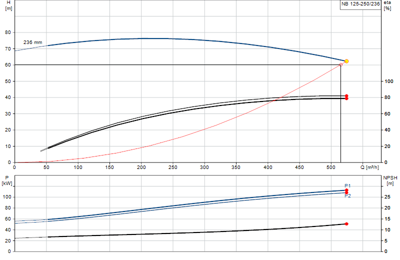 Curva di prestazione NB 125-250/236