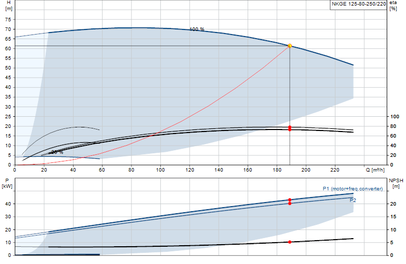 Curva di prestazione NKGE 125-80-250/220