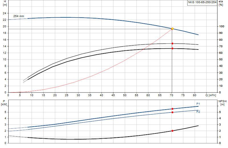 Curva di prestazione NKG 100-65-250/254