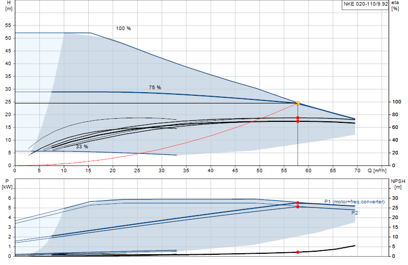 Curva di prestazione NKE 020-110/9.92