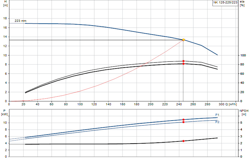 Curva di prestazione NK 125-225/223