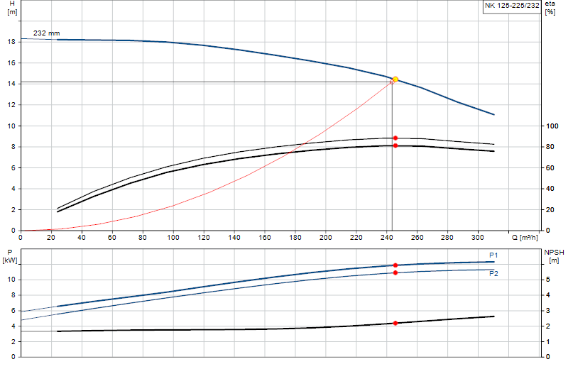 Curva di prestazione NK 125-225/232