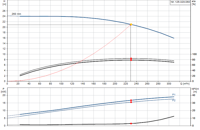 Curva di prestazione NK 125-320/260