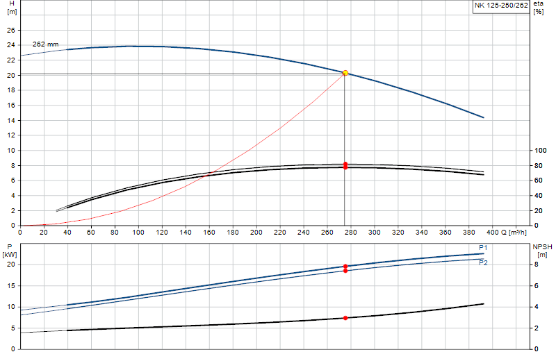 Curva di prestazione NK 125-250/262