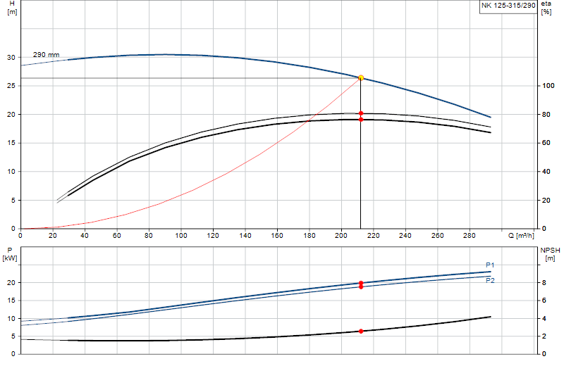 Curva di prestazione NK 125-315/290