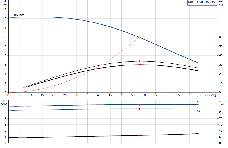 Curva di prestazione NKG 100-80-160/158