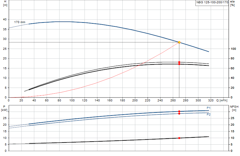 Performance curve NBG 125-100-200/170