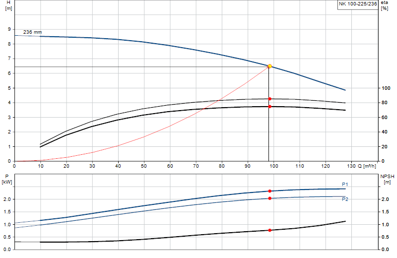 Curva di prestazione NK 100-225/236