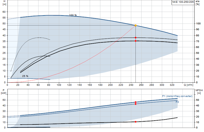 Curva di prestazione NKE 100-250/205