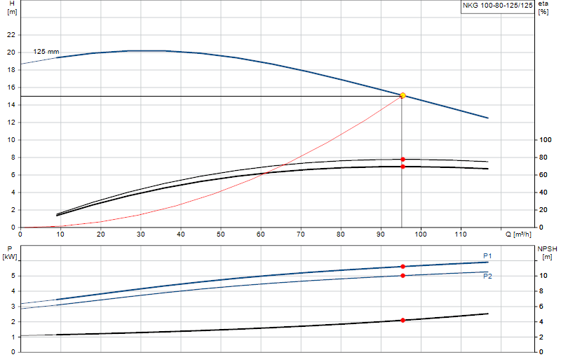 Curva di prestazione NKG 100-80-125/125