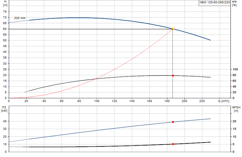 Curva de rendimiento NBG 125-80-250/220