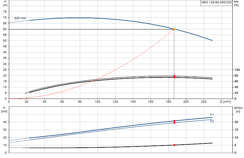 Curva di prestazione NBG 125-80-250/220