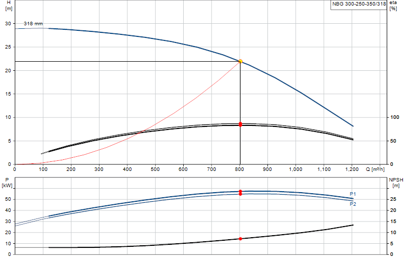 Curva di prestazione NBG 300-250-350/318