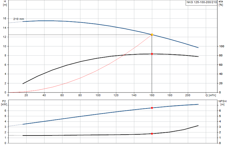 Curva di prestazione NKG 125-100-200/210
