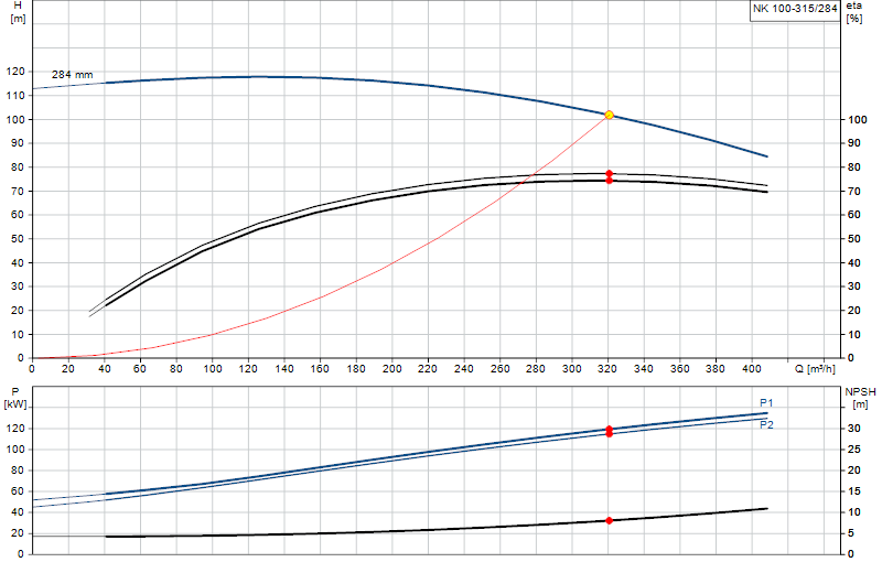 Performance curve NK 100-315/284