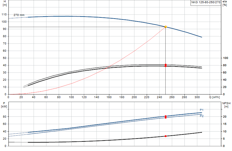 Curva di prestazione NKG 125-80-250/270
