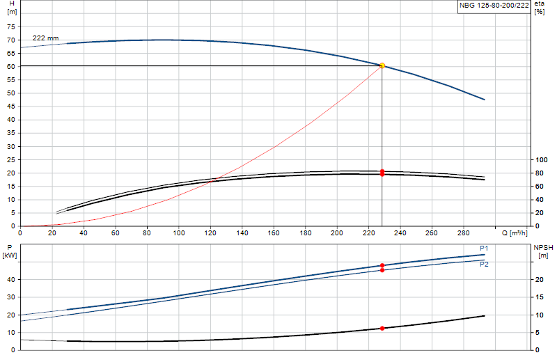 Curva di prestazione NBG 125-80-200/222
