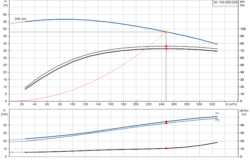 Curva de rendimiento NK 100-250/205
