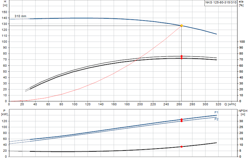 Curva di prestazione NKG 125-80-315/310
