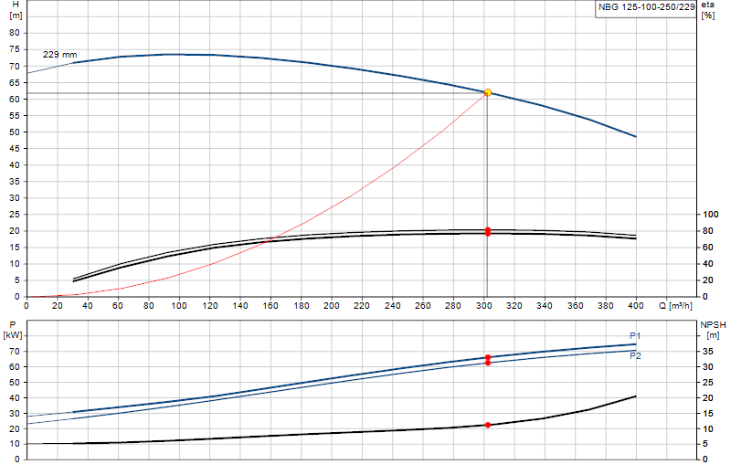 Curva di prestazione NBG 125-100-250/229