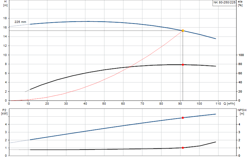 Curva di prestazione NK 80-250/225