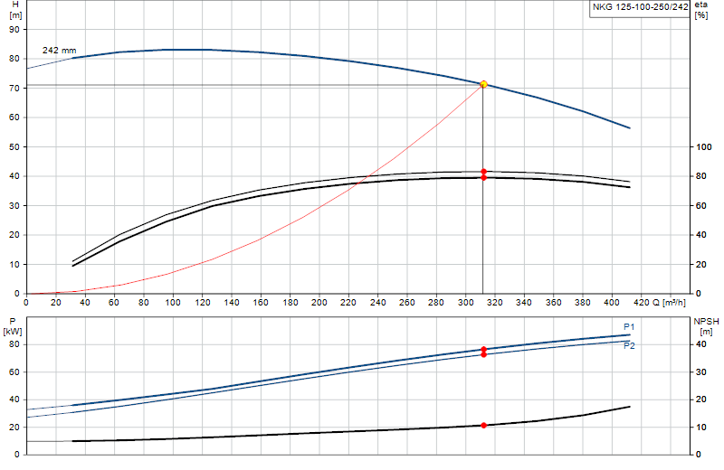 Curva di prestazione NKG 125-100-250/242