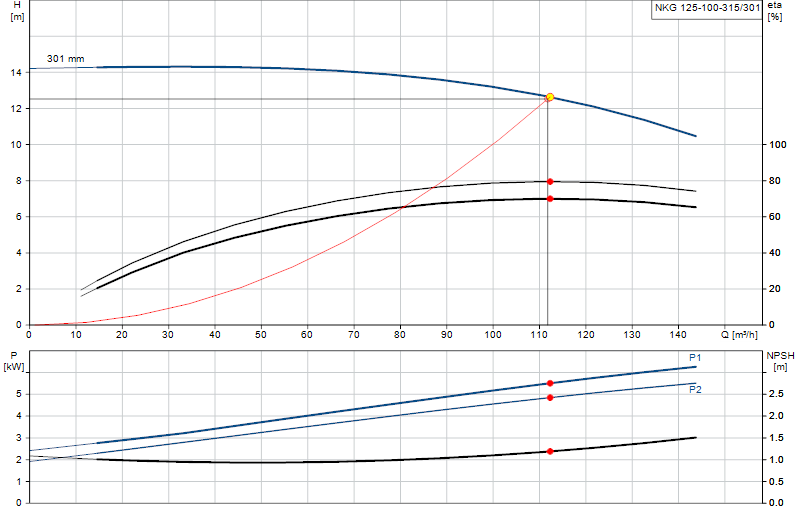 Curva di prestazione NKG 125-100-315/301