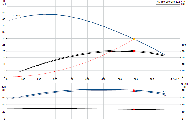 Curva di prestazione NK 150-200/218-202