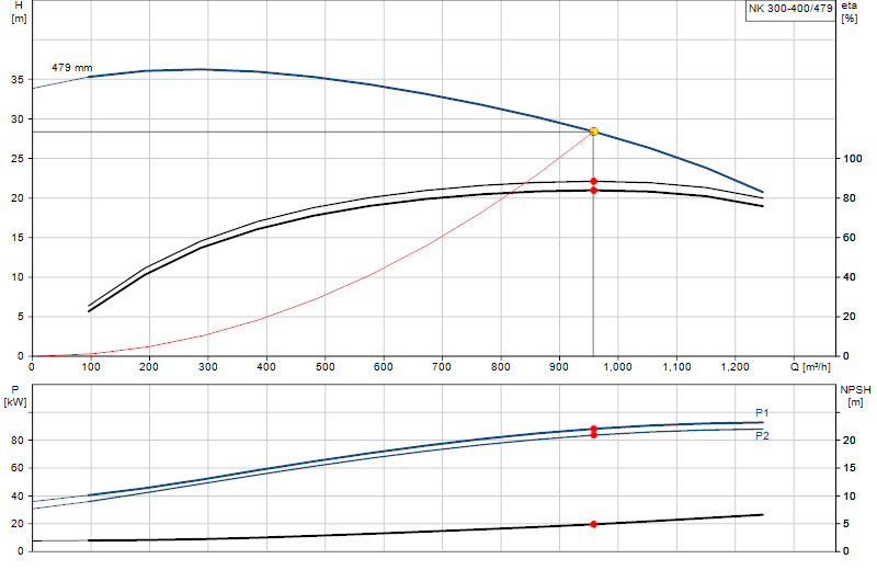 Curva di prestazione NK 300-400/479