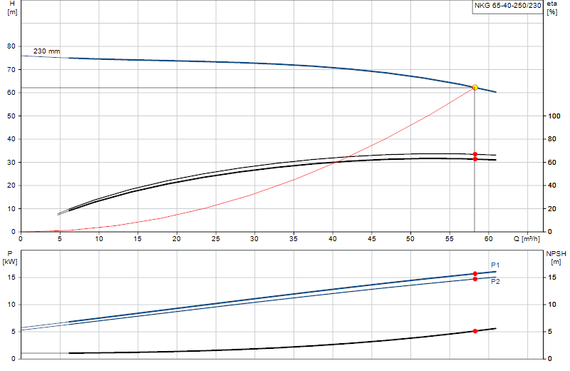Performance curve NKG 65-40-250/230