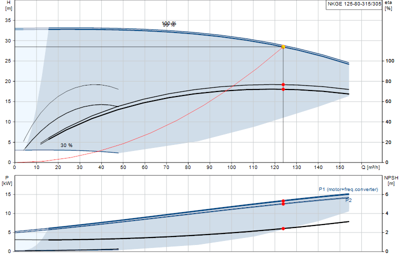 Curva di prestazione NKGE 125-80-315/305