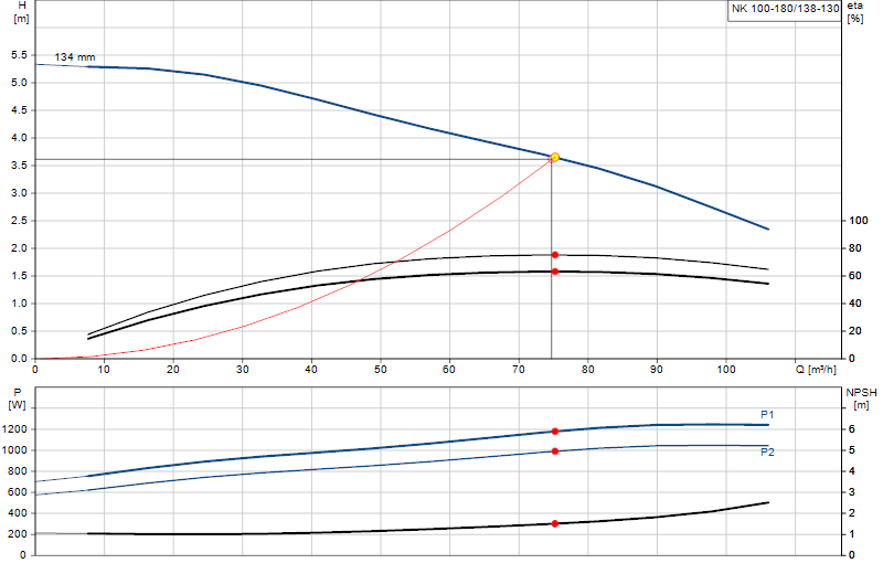 Curva di prestazione NK 100-180/138-130