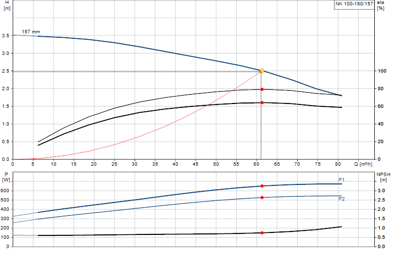 Curva di prestazione NK 100-180/157