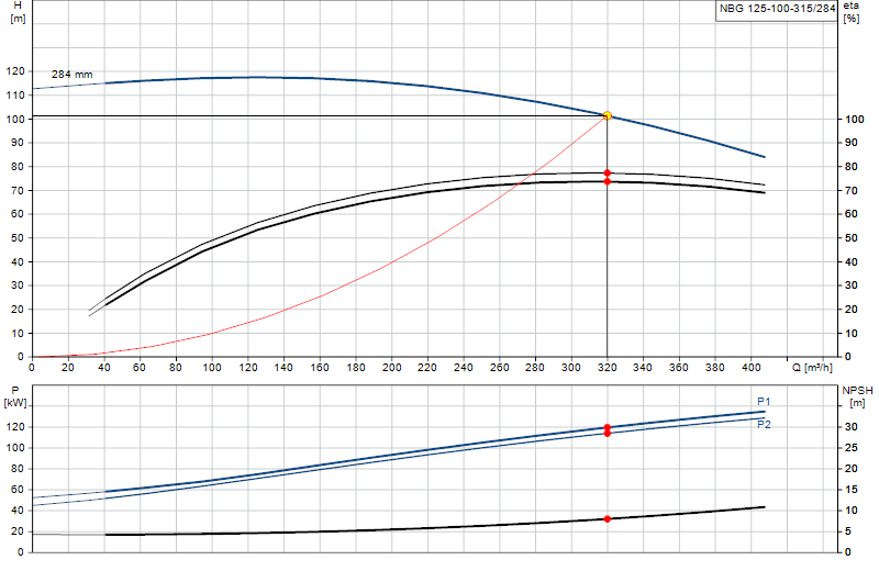 Courbe de performance NBG 125-100-315/284