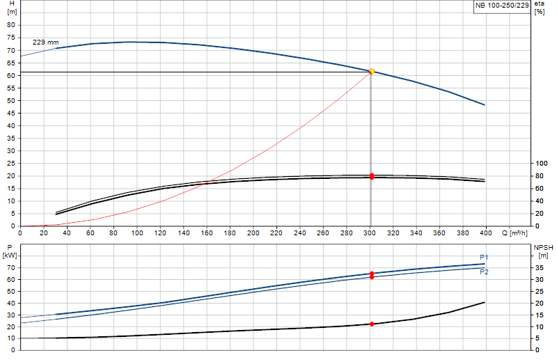 Curva di prestazione NB 100-250/229