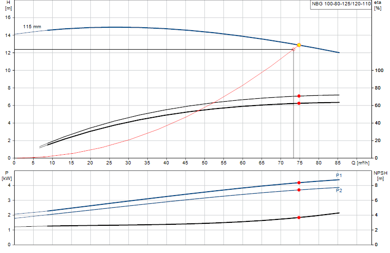Curva di prestazione NBG 100-80-125/120-110