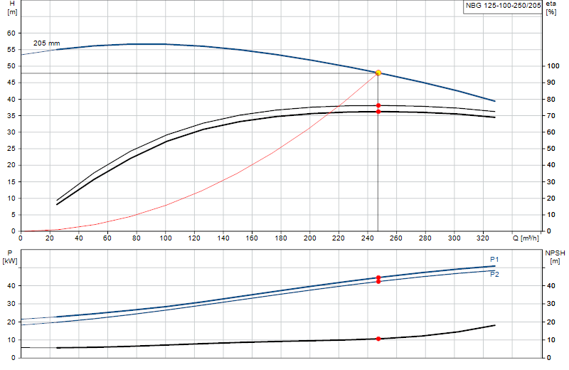 Curva di prestazione NBG 125-100-250/205